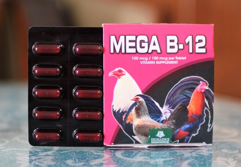 Thuốc nuôi gà đá tăng cơ, độ sung mãn cho “chiến binh” 2 Thuốc Mega B12 được các chủ kê sử dụng phổ biến cho chiến kê của mình, tăng độ sung mãn khi giao chiến