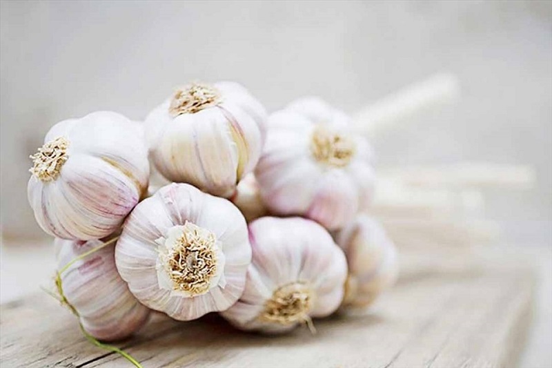 Cách chữa gà chọi bị đi ngoài bằng tỏi rất hiệu quả mà lại tiết kiệm ngân sách