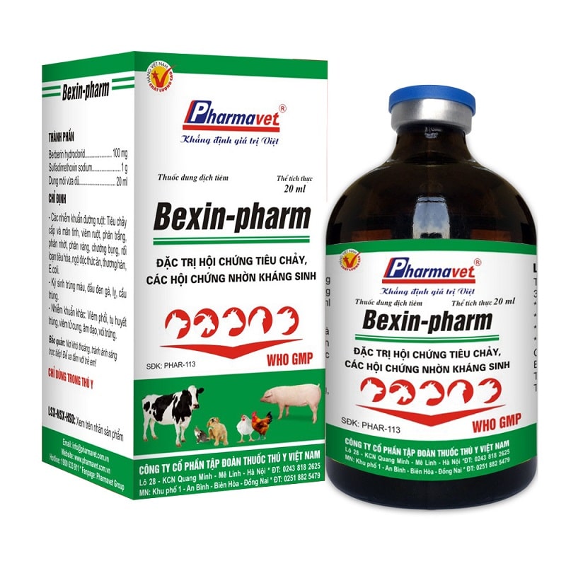 Dùng Bexin pharm là cách chữa gà chọi bị đi ngoài hiệu quả cao, các triệu chứng tiêu chảy không còn